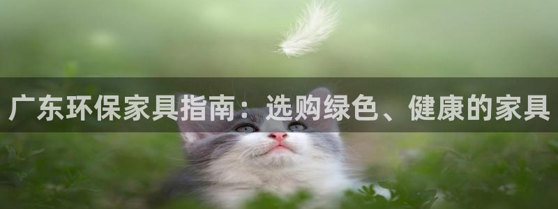 杏耀平台待遇