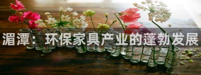 杏耀平台代理