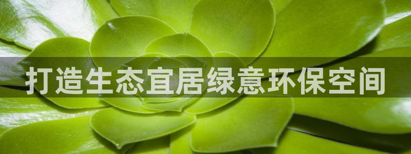 杏耀平台线路测速