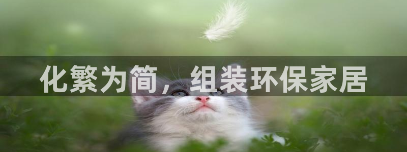 杏耀线路5检测