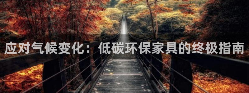 杏耀软件