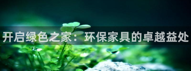 杏耀代理日工资多少