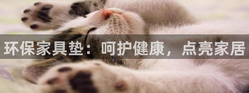 杏耀平台代理怎么赚钱