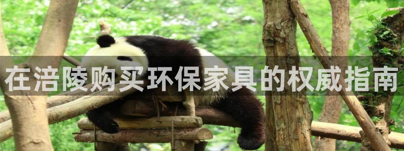 杏耀平台服务中心怎么样