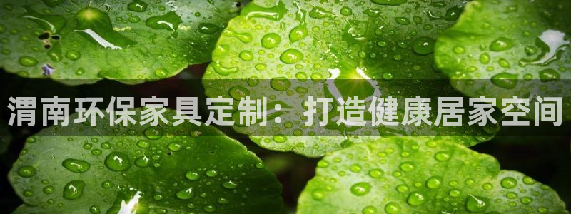 杏耀平台娱乐：渭南环保家具定制：打造健康居家空间