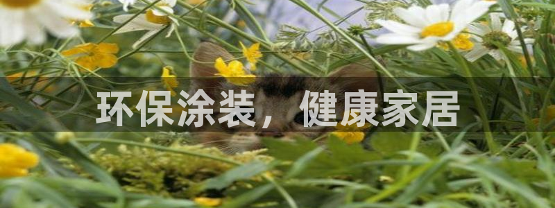 杏耀平台到底能玩吗