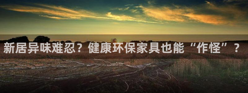 杏耀软件