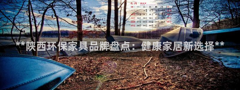 杏耀代理连接：**陕西环保家具品牌盘点：健康家居新选择**
