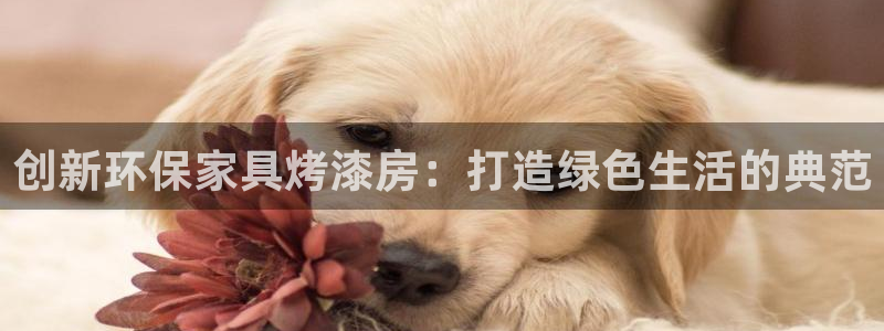 杏耀app怎样申请退款