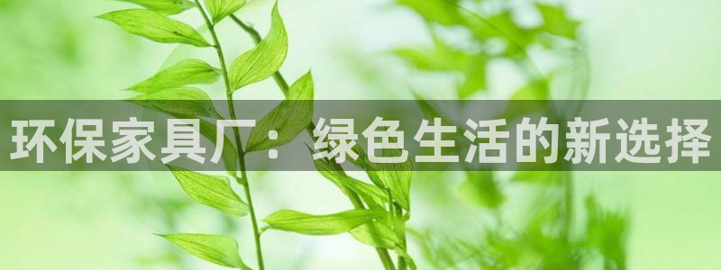杏耀测速注册：环保家具厂：绿色生活的新选择