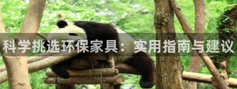 杏耀官网网站中心
