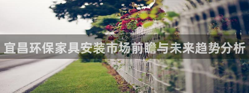 杏耀注册登录：宜昌环保家具安装市场前瞻与未来趋势分析