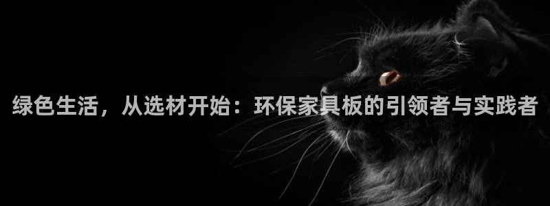杏耀官网主管：绿色生活，从选材开始：环保家具板的引领者与实践