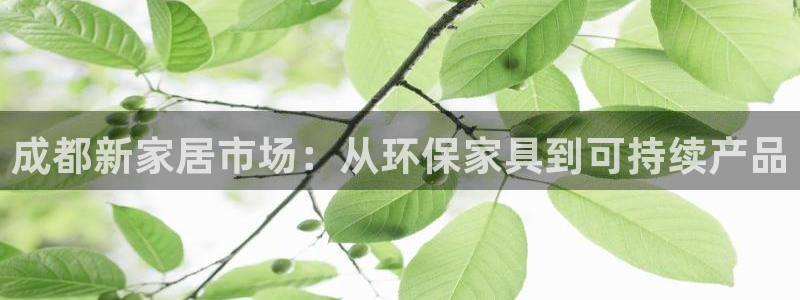 杏耀平台客户端：成都新家居市场：从环保家具到可持续产品