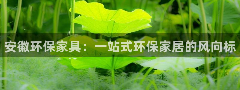杏耀平台测速登录：安徽环保家具：一站式环保家居的风向标