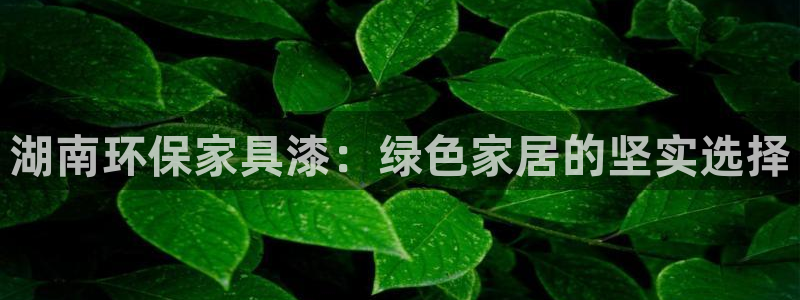 杏耀注册网址