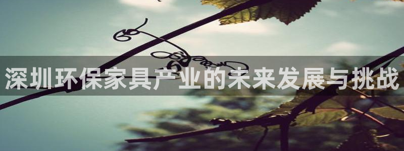 杏耀如何注册：深圳环保家具产业的未来发展与挑战