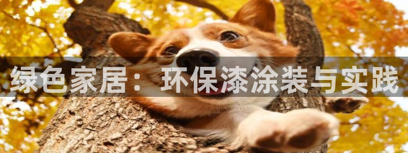 杏耀官方注册中心：绿色家居：环保漆涂装与实践