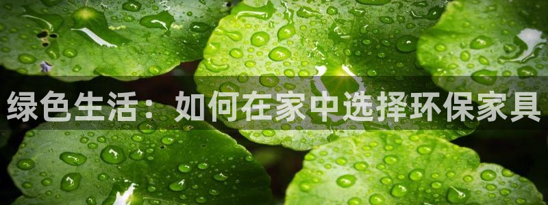杏耀官网登陆