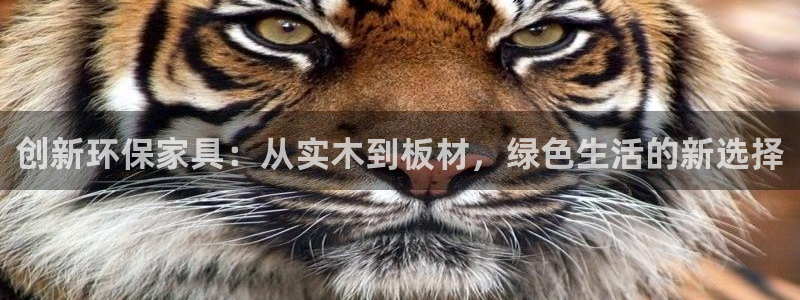 杏耀平台官网网址