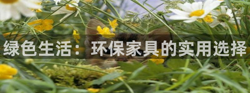 杏耀平台已7O777