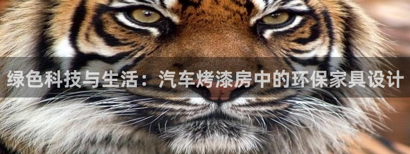 杏耀平台可以提款吗：绿色科技与生活：汽车烤漆房中的环保家具设