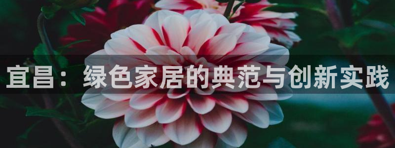 杏耀平台代理登录网址是什么：宜昌：绿色家居的典范与创新实践
