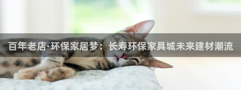 杏耀总代理：百年老店·环保家居梦：长寿环保家具城未来建材潮流