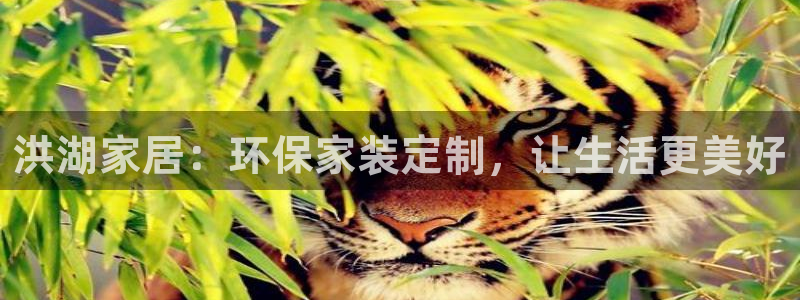 杏耀平台的专用通道