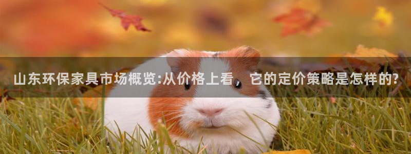 杏耀总代：山东环保家具市场概览:从价格上看，它的定价策略是怎