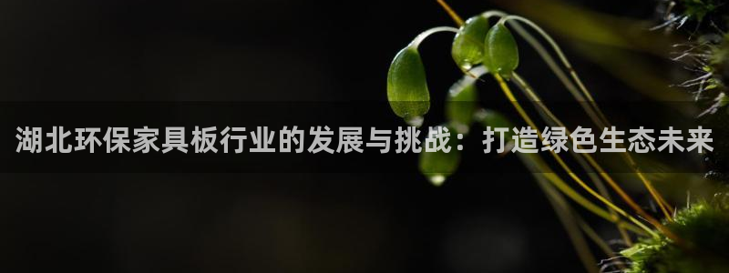 杏耀代理登录中心：湖北环保家具板行业的发展与挑战：打造绿色生