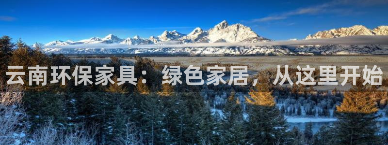 杏耀登陆网站