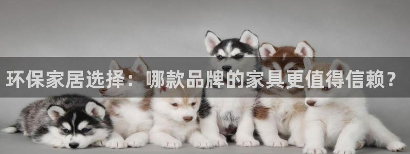 杏耀测速娱乐