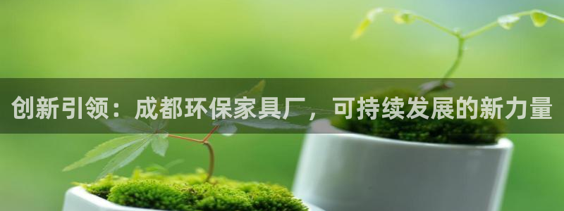 杏耀平台客服：创新引领：成都环保家具厂，可持续发展的新力量