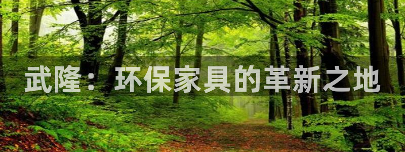杏耀平台得专用通道：武隆：环保家具的革新之地