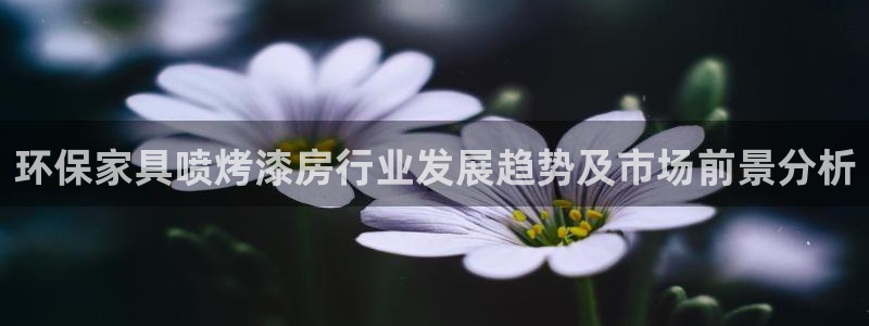 杏耀平台几年了：环保家具喷烤漆房行业发展趋势及市场前景分析