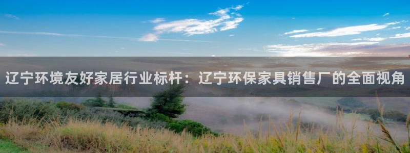 杏耀客户端登陆：辽宁环境友好家居行业标杆：辽宁环保家具销售厂