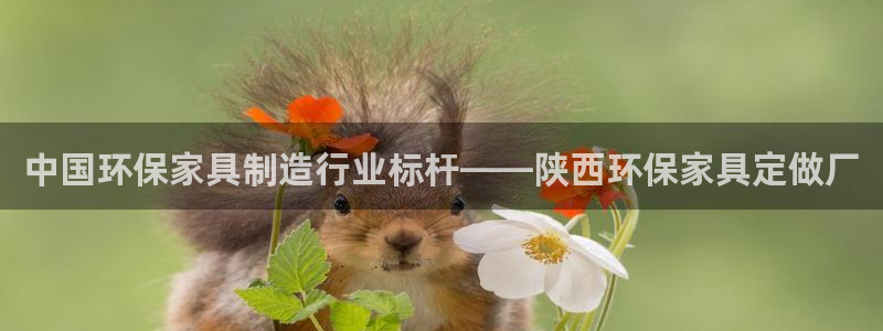 杏耀总代理：中国环保家具制造行业标杆——陕西环保家具定做厂