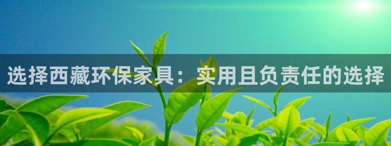 杏耀平台注册：选择西藏环保家具：实用且负责任的选择