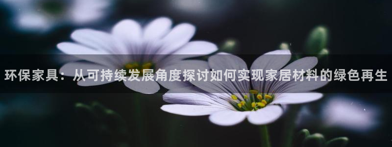 杏耀平台代理