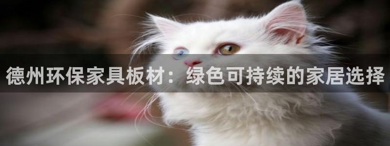 杏耀平台网站是什么：德州环保家具板材：绿色可持续的家居选择