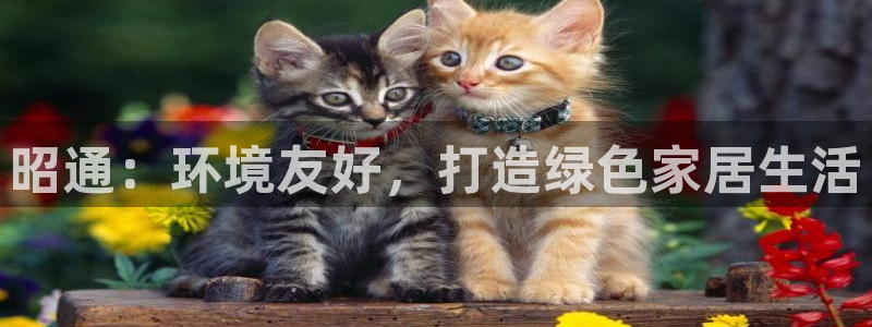 杏耀平台的专用通道