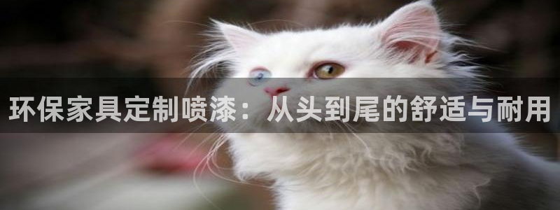 杏耀测速网址电脑版：环保家具定制喷漆：从头到尾的舒适与耐用