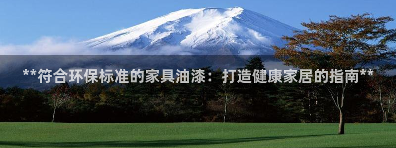 杏耀管网登录：**符合环保标准的家具油漆：打造健康家居的指南