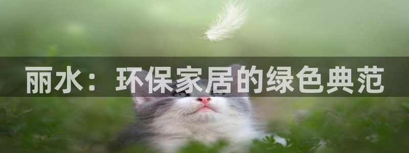 杏耀平台怎么注册：丽水：环保家居的绿色典范