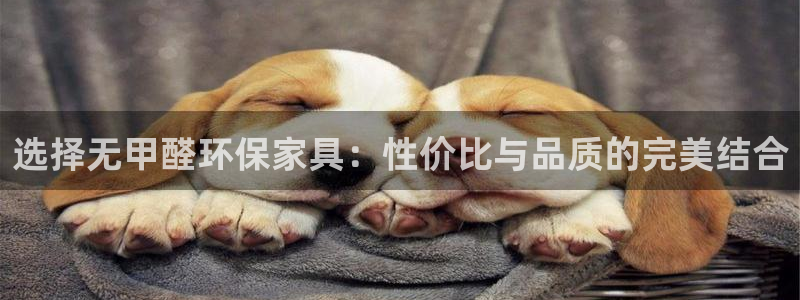 杏耀平台登录：选择无甲醛环保家具：性价比与品质的完美结合