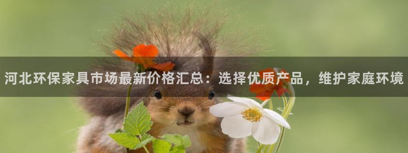 杏耀平台待遇：河北环保家具市场最新价格汇总：选择优质产品，维