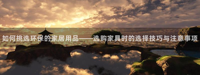 杏耀代理日工资多少