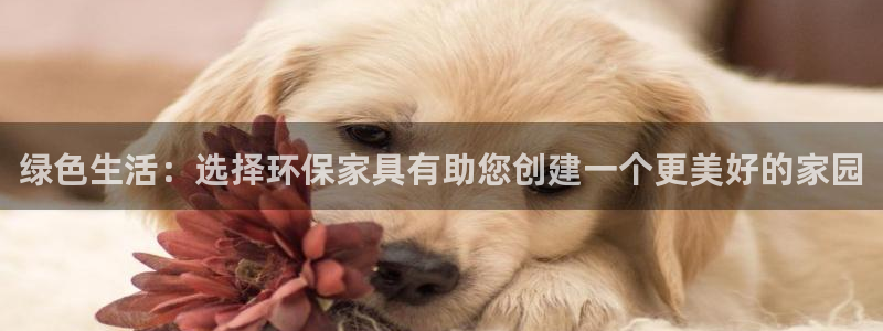杏耀官网登录：绿色生活：选择环保家具有助您创建一个更美好的家