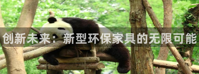 杏耀登入官网：创新未来：新型环保家具的无限可能